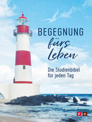cover image of Begegnung fürs Leben